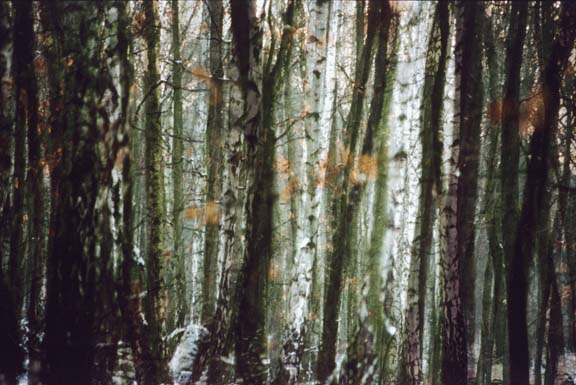 Foto_07