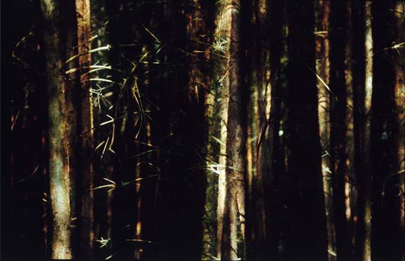 Fotr_08