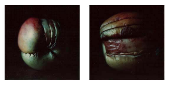 polaroid_07