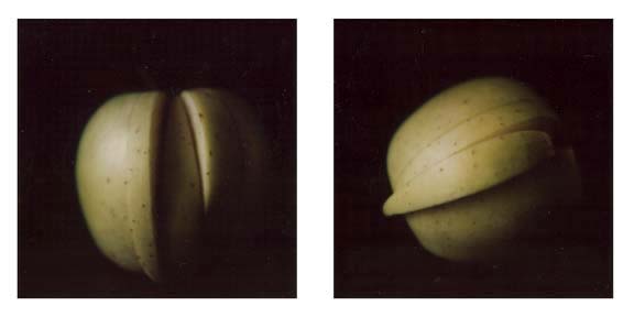 polaroid_05