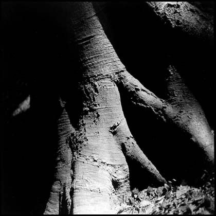 SW_08