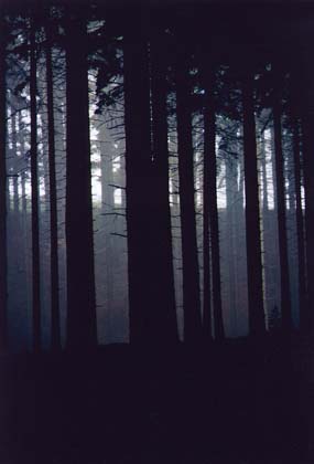 Foto_14