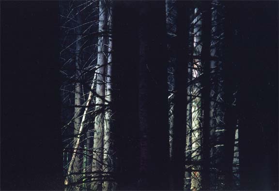 Foto_07