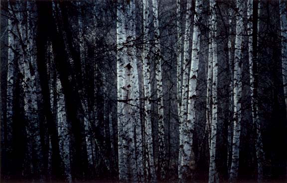 Foto_05