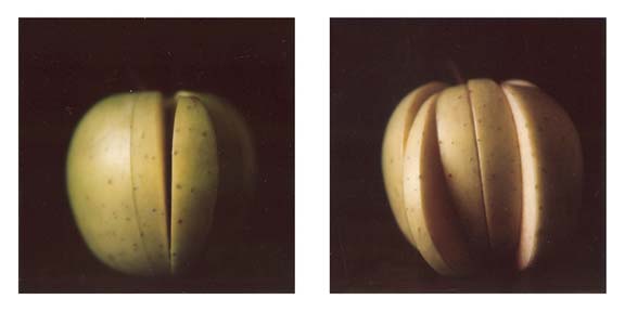 polaroid_02