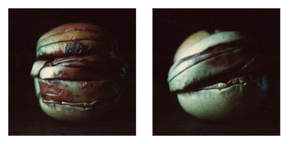 polaroid_03